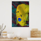 アンジェルフィッシュのクローズアップ ポスター (キッチン)