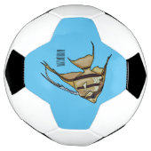 アンジェルフィッシュ漫画イラストレーション サッカーボール (回転)