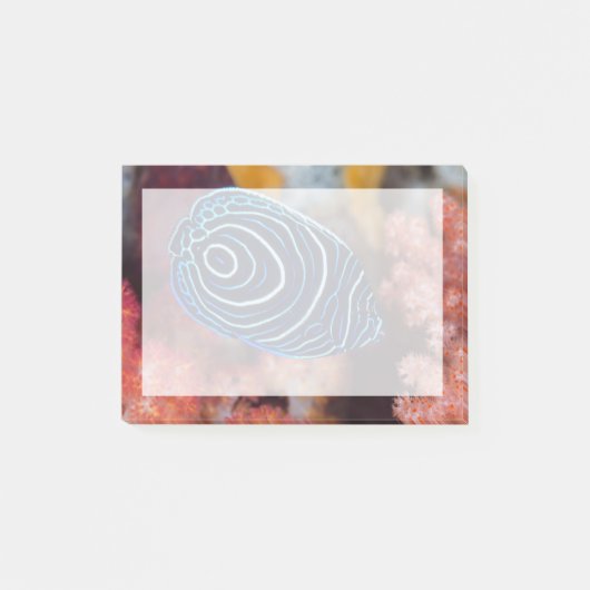 アンジェルフィッシュ皇帝の終焉 ポストイット (正面)