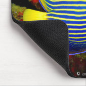 『アンジェルフィッシュ皇帝』(のマウスパッド,No.01) マウスパッド (コーナー)