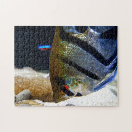 アンジェルフィッシュ魚の飼育者淡水水槽 ジグソーパズル