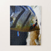 アンジェルフィッシュ魚の飼育者淡水水槽 ジグソーパズル (縦)