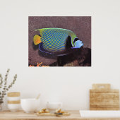 アンジェルフィッシュ2世 ポスター (キッチン)