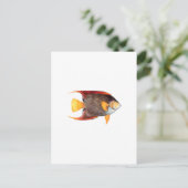 アンジェルフィッシュ（海水） ポストカード (スタンド正面)