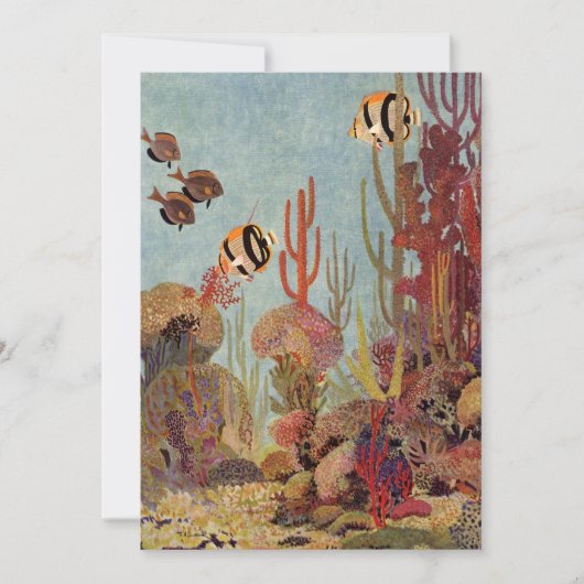 アンジェルフィッシュinサンゴ、ヴィンテージ熱帯魚in海 (正面)