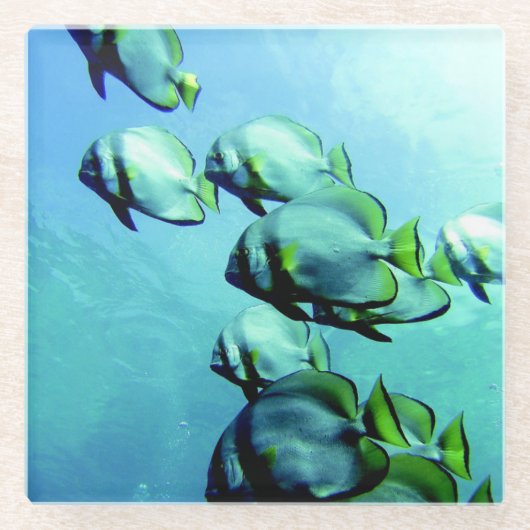 アンジェルフィッ澄んシュブルーウォーター ガラスコースター (正面)