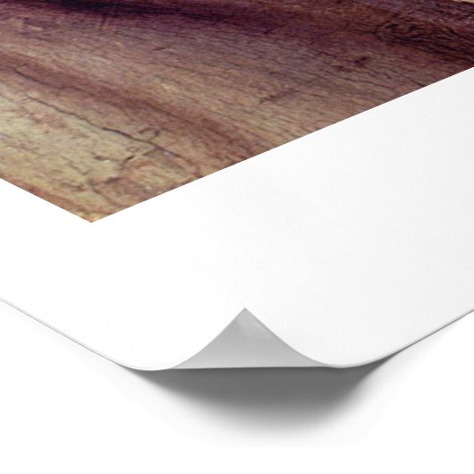 アンジェロ・ブロンツィノによる金星の勝利の寓話 ポスター (角)