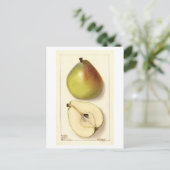 アンジュ梨ヴィンテージイラストレーション ポストカード (スタンド正面)