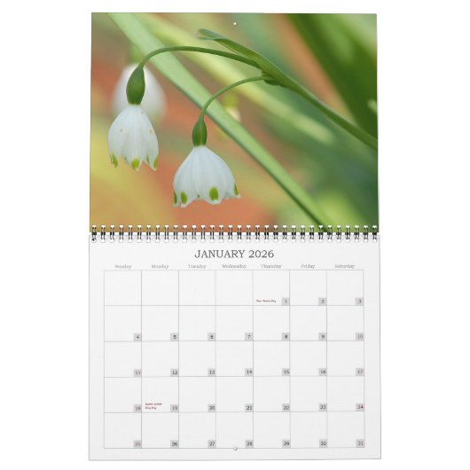 アンジーの庭2008年カレンダー カレンダー (1月 2026)