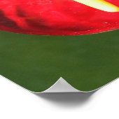 アンスリウムフラワープリント ポスター (角)