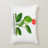 アンスリウム アクセントクッション (正面(垂直))