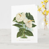 アンスリウム カード (黄色い花)