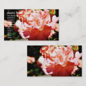 アンズバラ室 名刺 (正面/裏面)