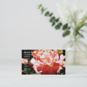 アンズバラ室 名刺 (スタンド正面)