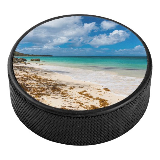 アンセカノービーチオンマリガラテ アイスホッケーパック (3/4)