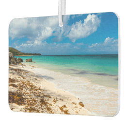 アンセカノービーチオンマリガラテ カーエアーフレッシュナー