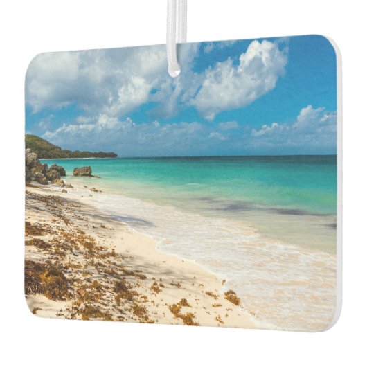 アンセカノービーチオンマリガラテ カーエアーフレッシュナー (左)