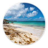 アンセカノービーチオンマリガラテ セラミックノブ (正面)