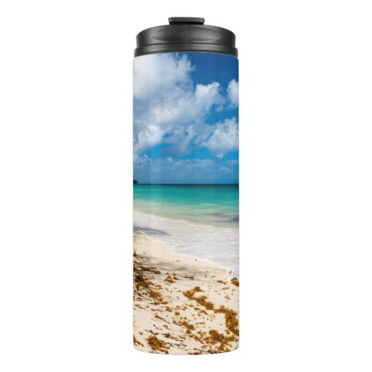 アンセカノービーチオンマリガラテ タンブラー (正面)