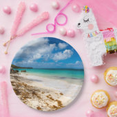 アンセカノービーチオンマリガラテ ペーパープレート (パーティー)