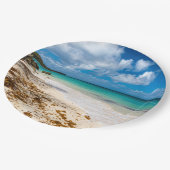 アンセカノービーチオンマリガラテ ペーパープレート (アングル)