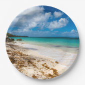 アンセカノービーチオンマリガラテ ペーパープレート (正面)