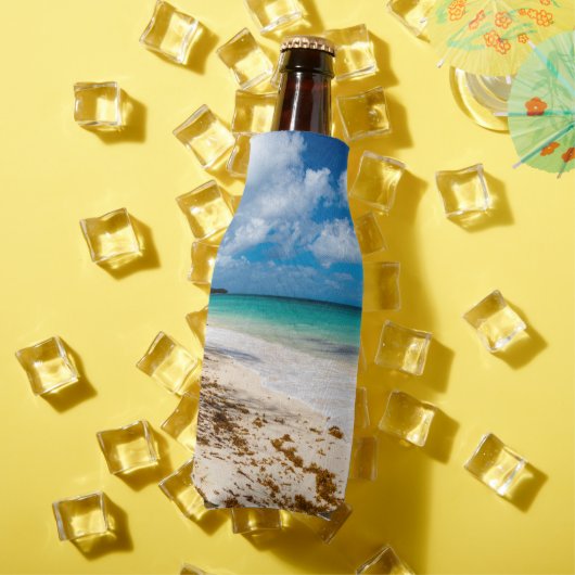 アンセカノービーチオンマリガラテ ボトルクーラー (インサイチュ 夏)