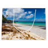 アンセカノービーチオンマリガラテ ラージペーパーバッグ (正面)