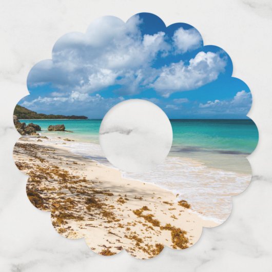 アンセカノービーチオンマリガラテ ワイングラスタグ (裏面)