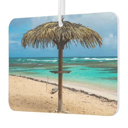 アンセデロシャーズビーチ カーエアーフレッシュナー (左)