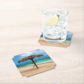 アンセデロシャーズビーチ ペーパーコースター (インサイチュ)