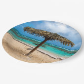 アンセデロシャーズビーチ ペーパープレート (アングル)