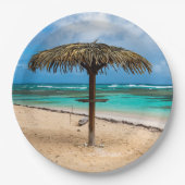 アンセデロシャーズビーチ ペーパープレート (正面)
