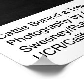 アンセル・アダムスによる木の後ろの牛 ポスター (角)