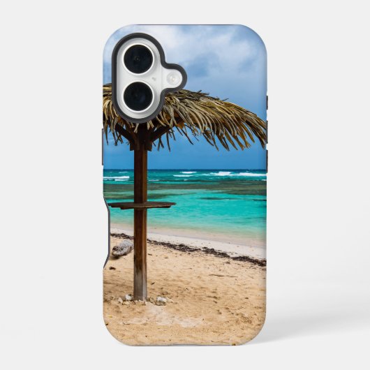 アンセ・デ・ロシュ浜 iPhone 16ケース (裏面)