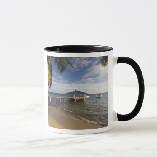 アンセ·ボア·ド·バラ、プラスリン島セイシェル マグカップ (右)