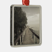 アンセ·ボア·ド·バラ、プラスリン島セイシェル メタルオーナメント (右)