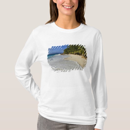 アンセ・ヴィクトラン・ビーチ2 Tシャツ (正面)