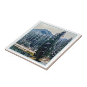 アンソニー湖 タイル (側面)