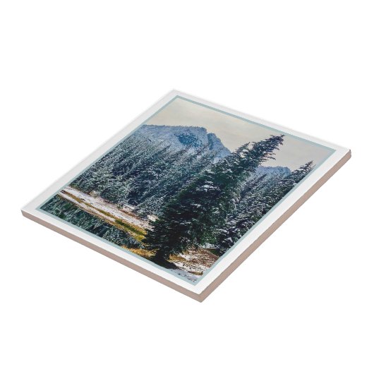 アンソニー湖 タイル (側面)