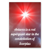 アンタレス テーブルナンバー (裏面)