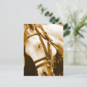 アンダルシアのはがき ポストカード (スタンド正面)