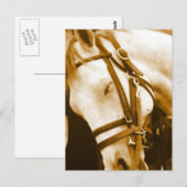 アンダルシアのはがき ポストカード (正面/裏面)