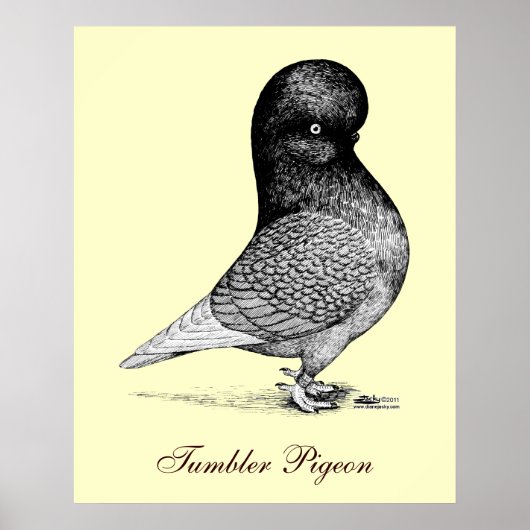 アンダルシアのタンブラー ポスター (正面)