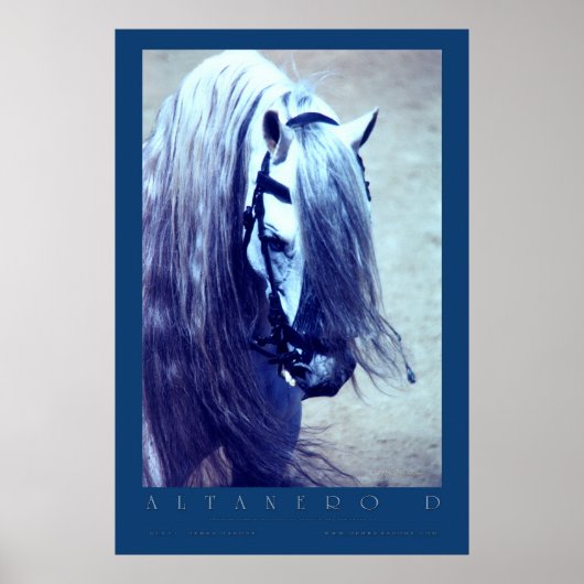 アンダルシアのポスター ポスター (正面)