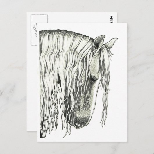 アンダルシアの真のロマンチックな馬 ポストカード (正面/裏面)
