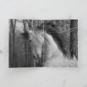 アンダルシアの雄馬と森林 - グリーティングカード (内部)
