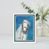 アンダルシアの馬芸はがき ポストカード (スタンド正面)