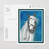 アンダルシアの馬芸はがき ポストカード (正面/裏面)