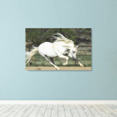 アンダルシアランニングスタリオンPR キャンバスプリント (インサイチュ (ウッドフロア))